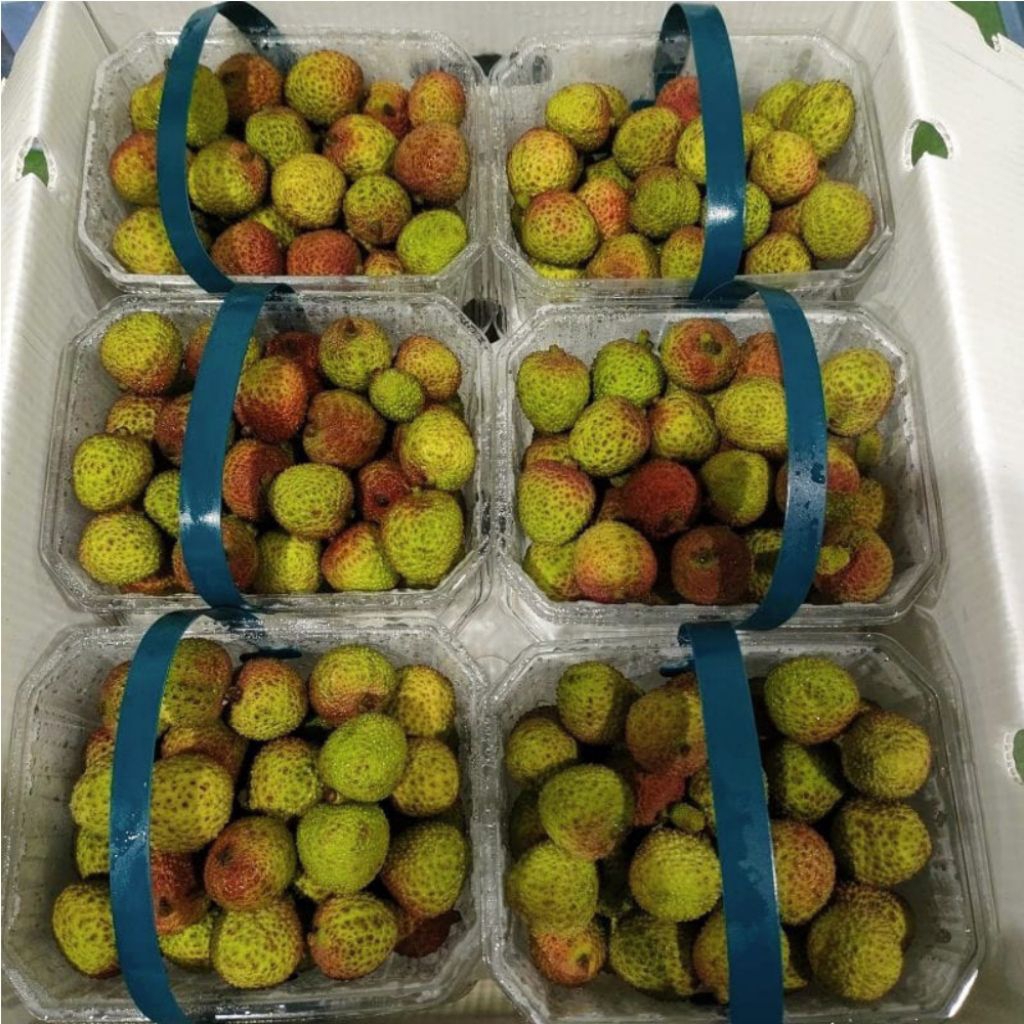 BUAH LECI HIJAU MADU 1 KG | Buah Leci Madu 1 Kg Manis Fresh Kemasan / Buah Leci Hijau Madu 1 Kg buah