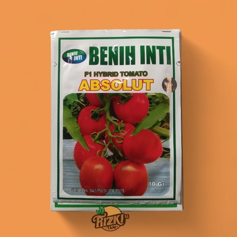 benih tomat hybrid ABSOLUT F1 BENIH INTI