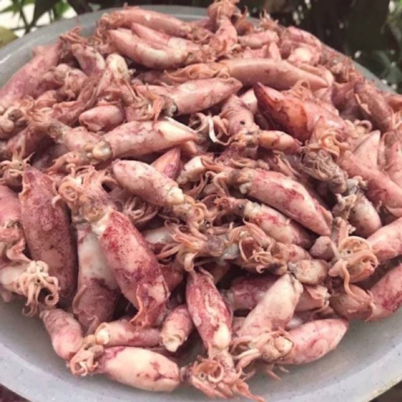 

cumi-cumi asin | cumi kering | cumi-cumi | murah | ikan | ikan kering murah