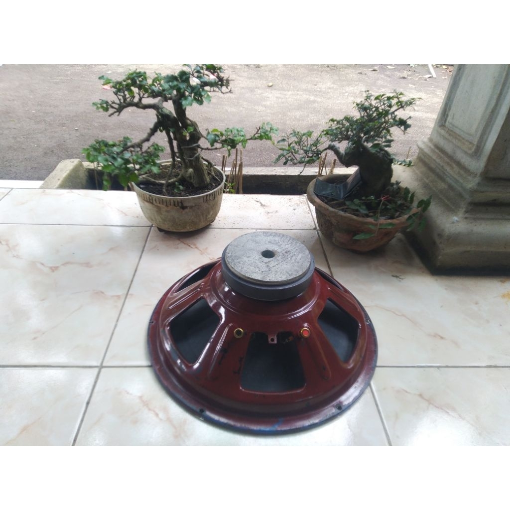 Speaker 15 in Acr 15400