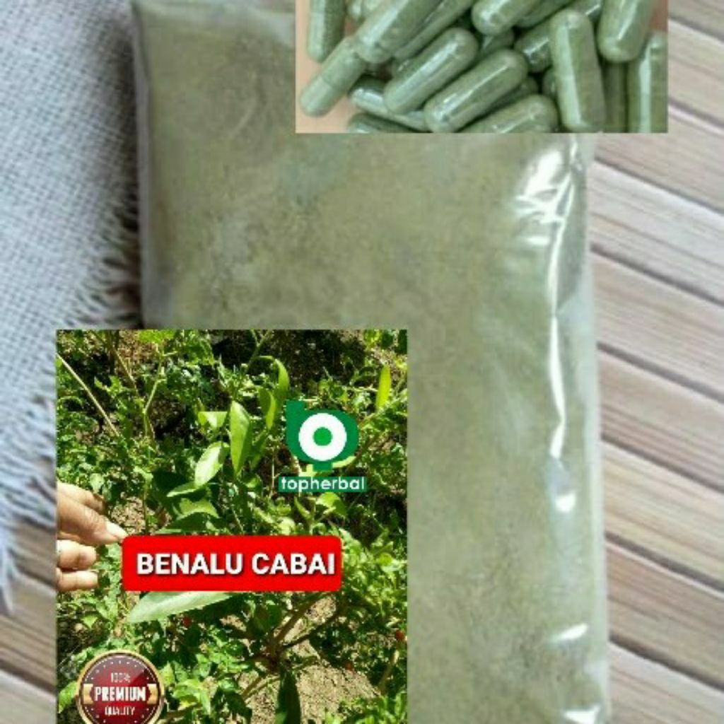 

Kapsul Benalu Cabai isi 100 Kapsul (Kering Hijau Organik Super Premium)
