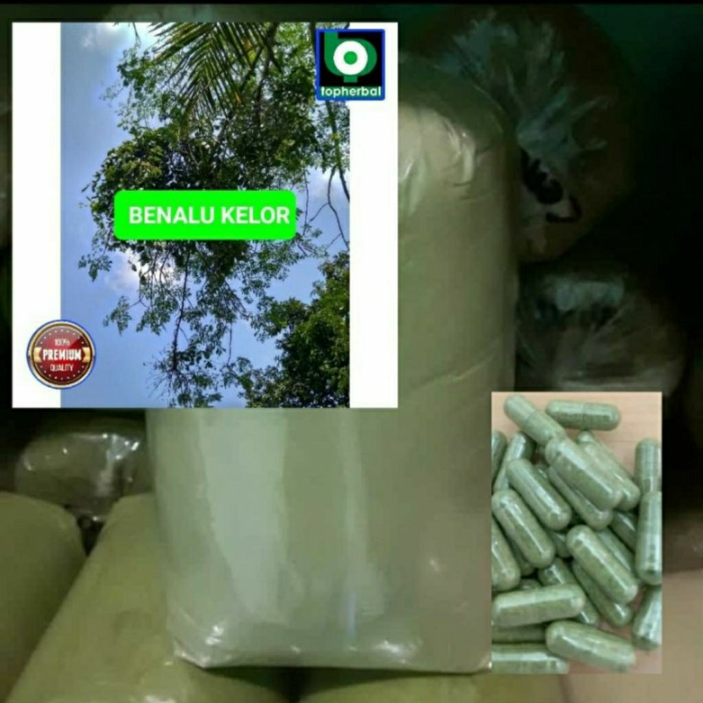 

Kapsul Benalu Kelor isi 100 Kapsul (Kering Hijau Organik Super Premium)