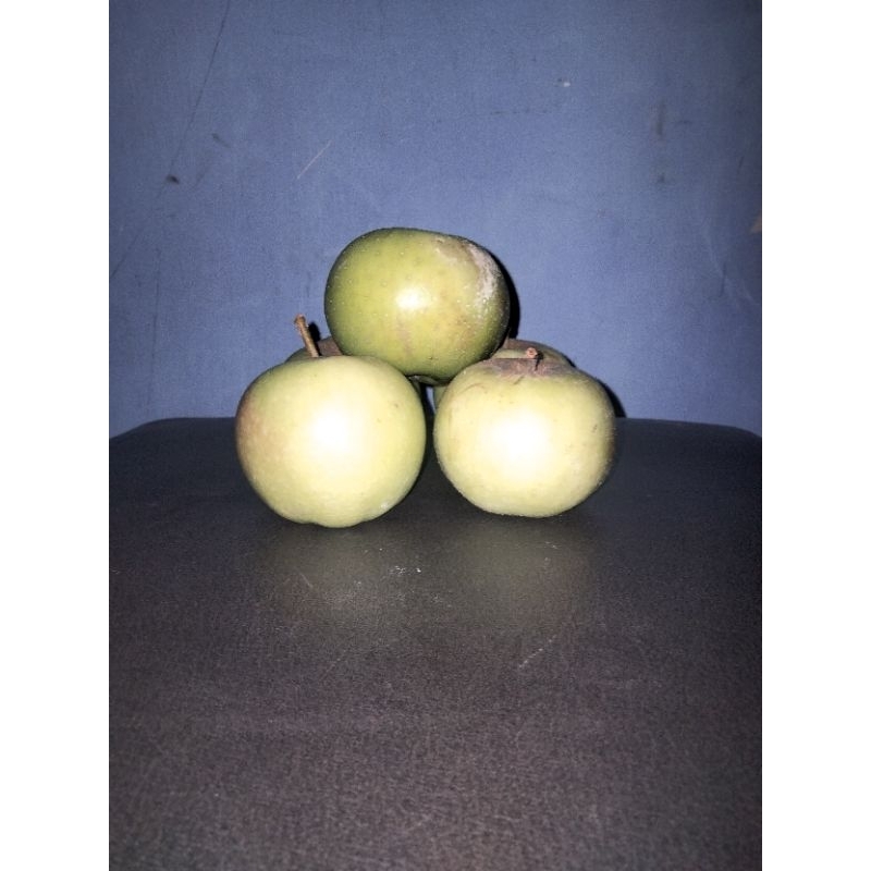 

Apel// manalagi// fresh// asli kota batu// berat 1kg// isi// 6-10