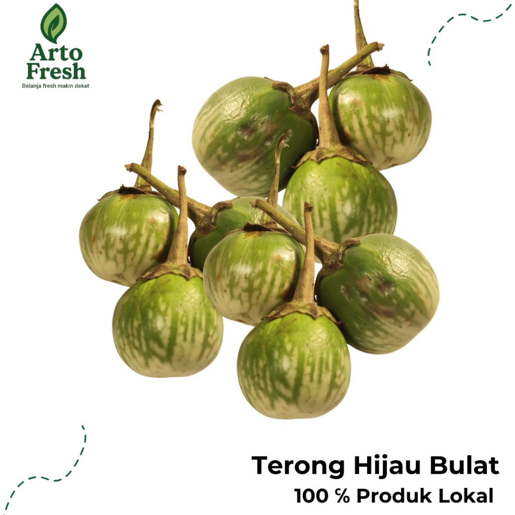 

Terong Hijau / Thailan Segar, ArtoFresh