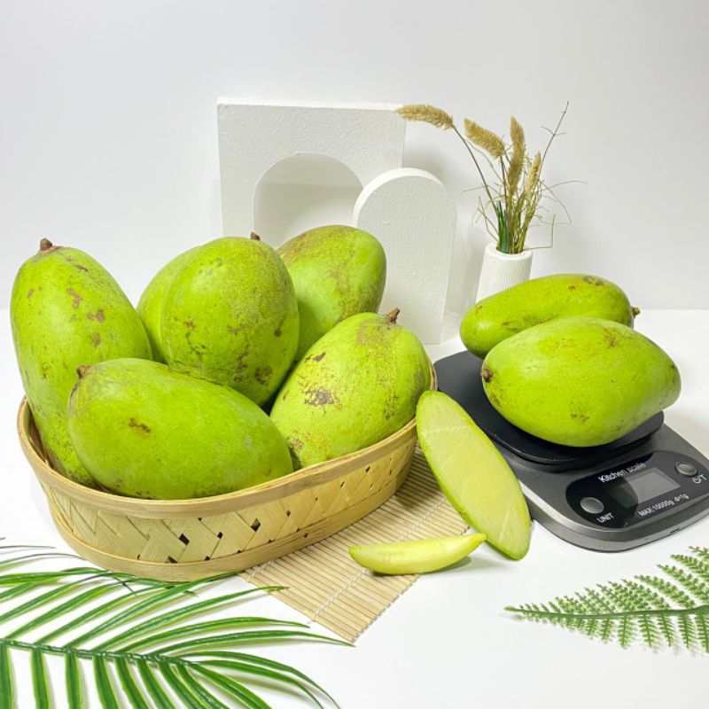 

MANGGA Muda Rujak Super 1 Kg | Buah Segar Fresh