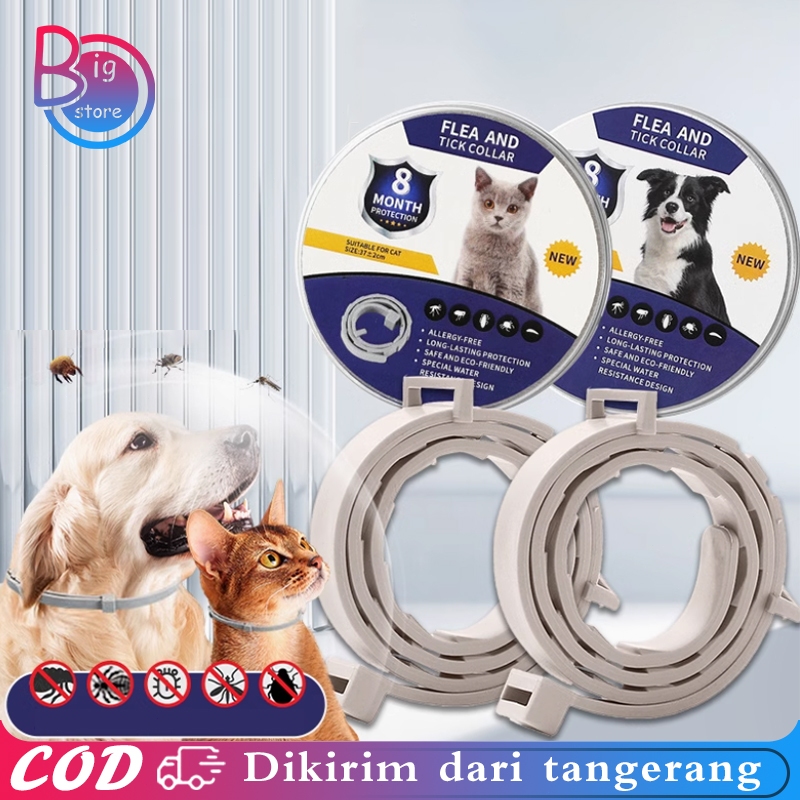 Kalung Anti Kutu Anjing Kalung Anti Kutu Anjing Kalung Kucing Anti Kutu Dan Jamur Kalung Kutu Kucing