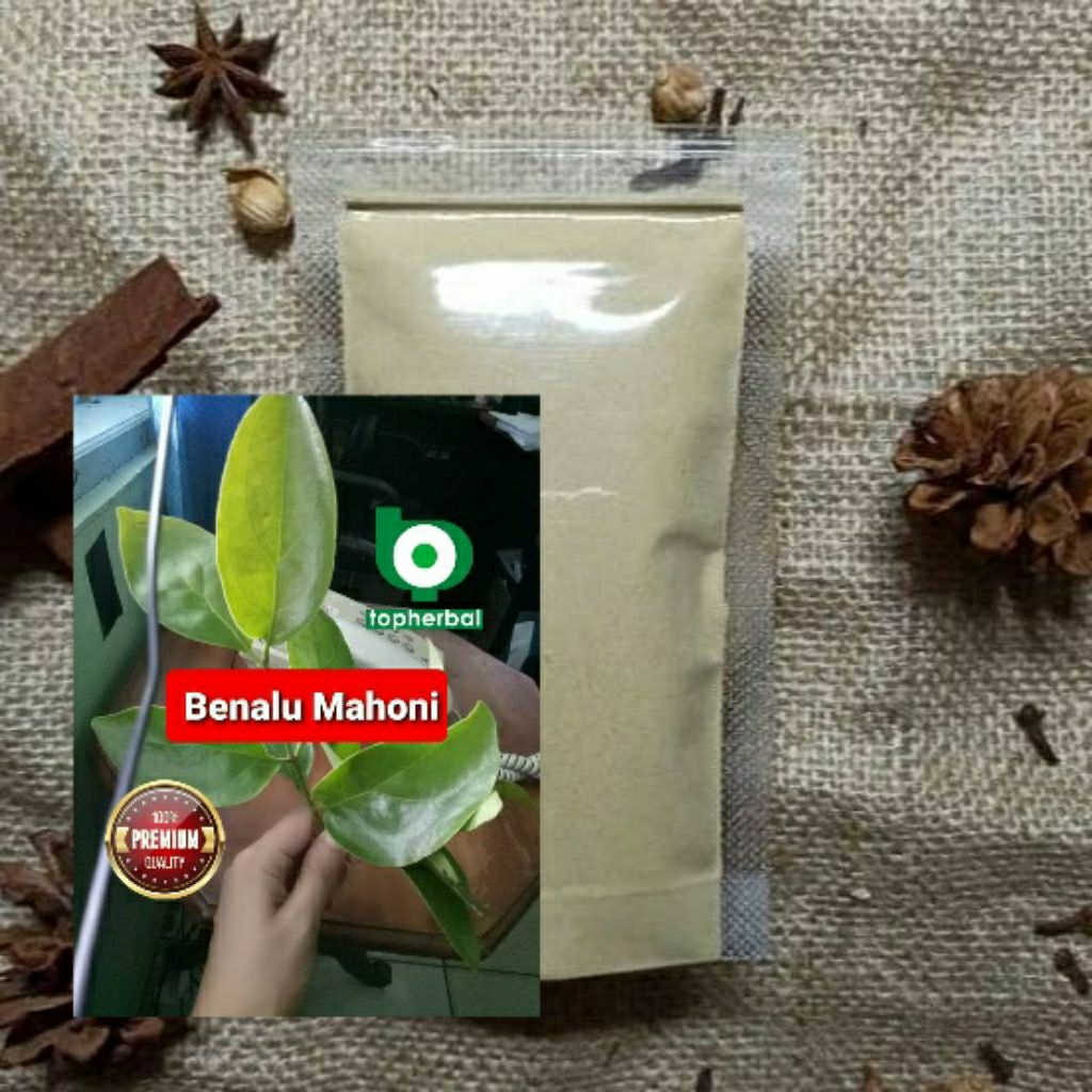 

Bubuk Benalu Mahoni 1 Kg/1000 Gram Kering Hijau Organik Super Premium