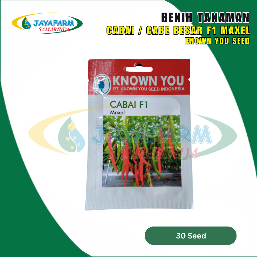Benih Bibit Tanaman Sayur Buah Cabai / Cabe F1 Besar Maxel 30 Seed - Known You Seed