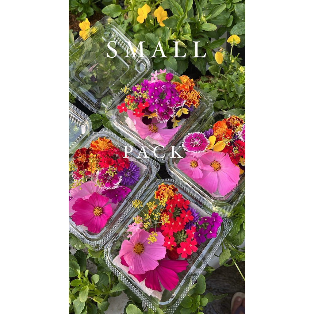 

Edible Flower mix | Small Pack | Garnish makanan