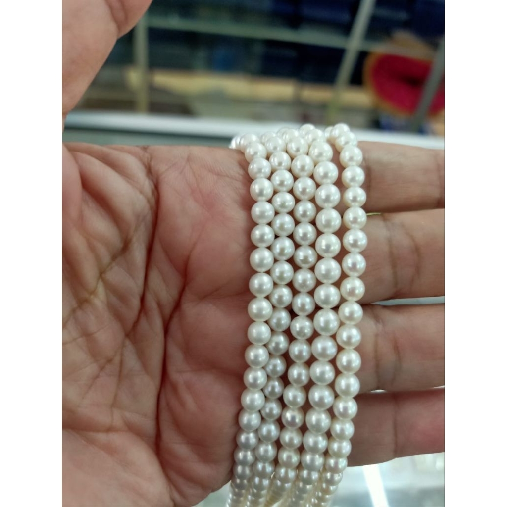 mutiara akoya mutiara laut asli lombok lengkap sertifikat dan box mutiara mewah