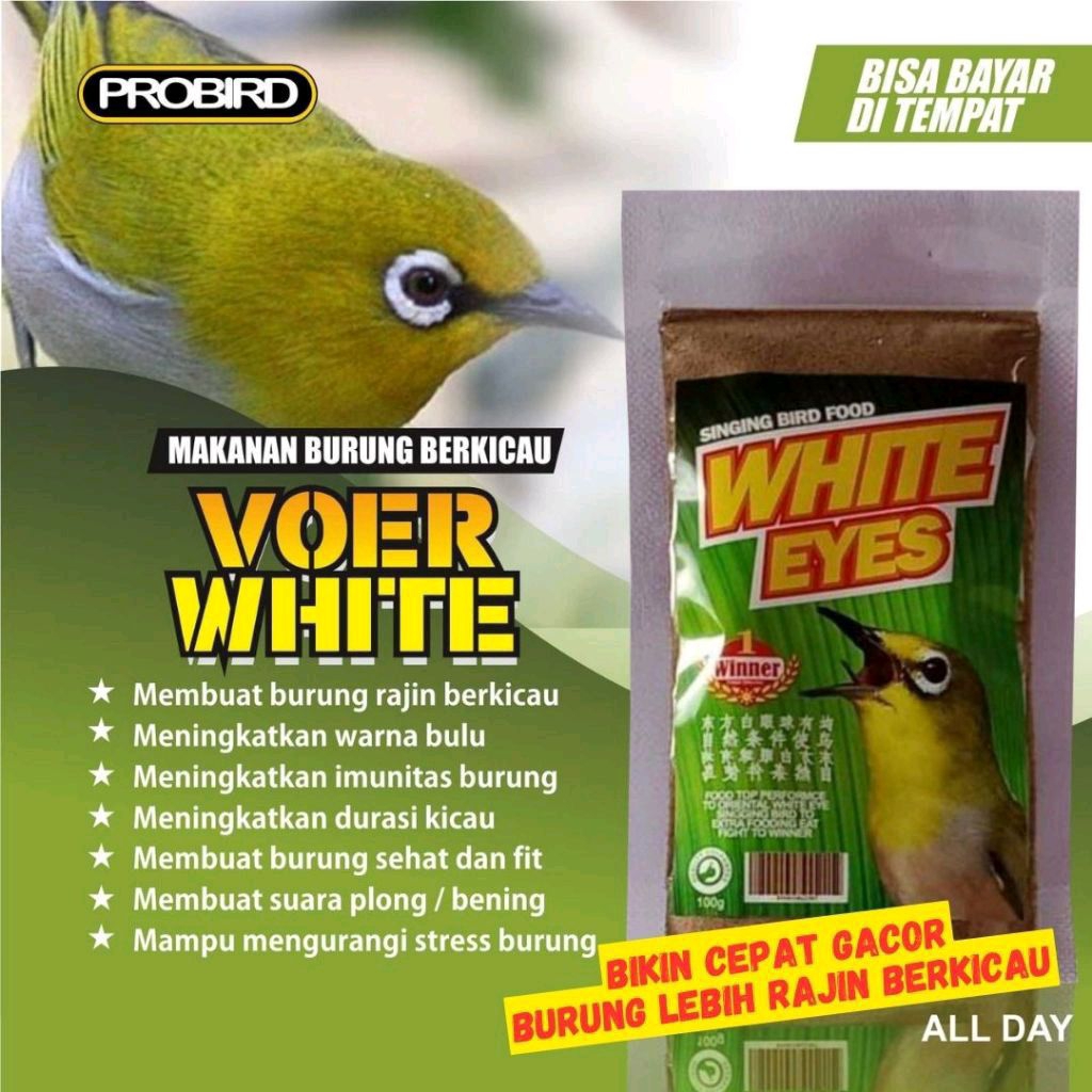 VOER HALUS WHITE EYES PLECI NECTAR per bungkus