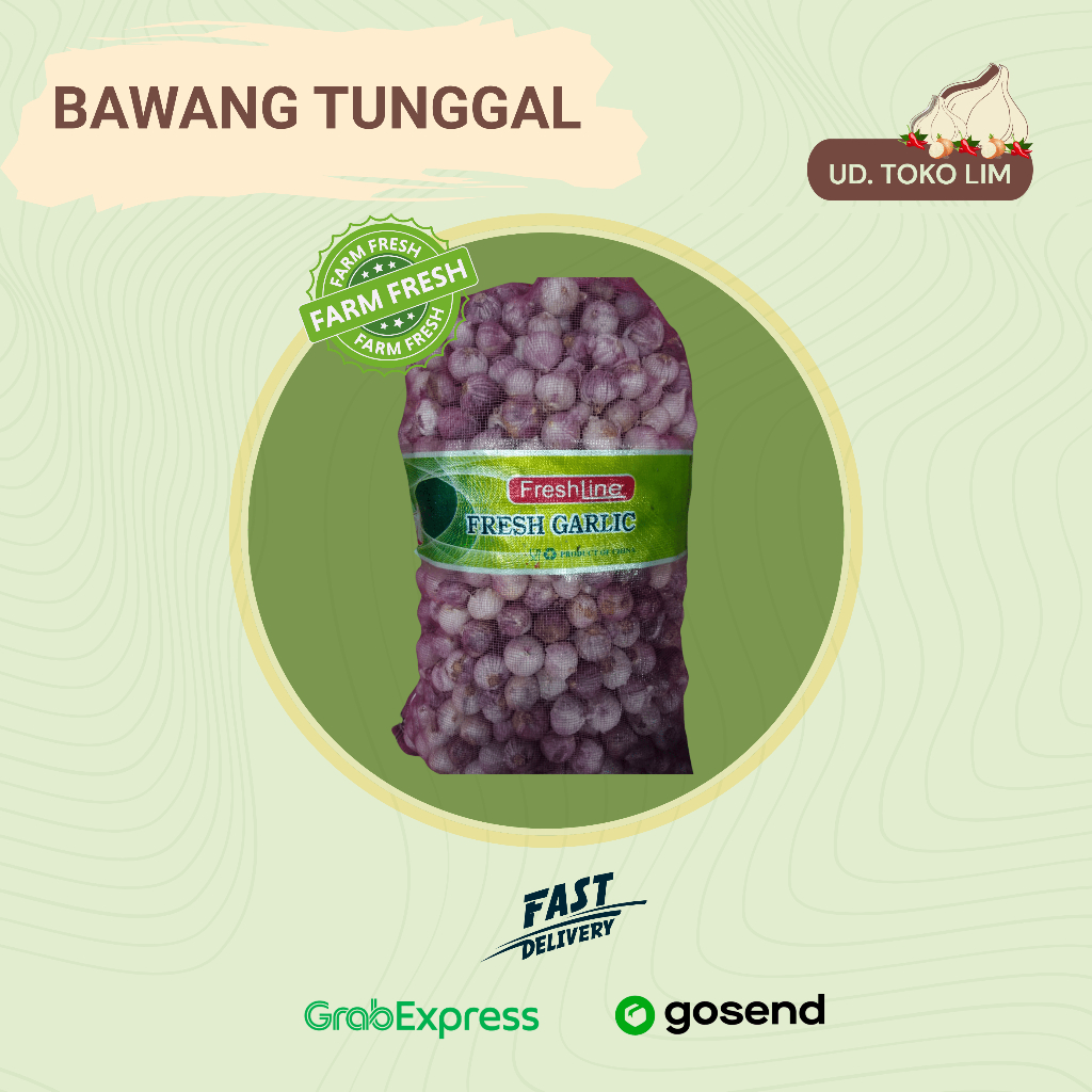 

Bawang Putih Tunggal/Bawang Lanang Kecil Karungan - Fresh & Berkualitas