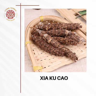 

XIA GU CAO PREMIUM PRUNELLA XIA KU CAO HE KO CAU