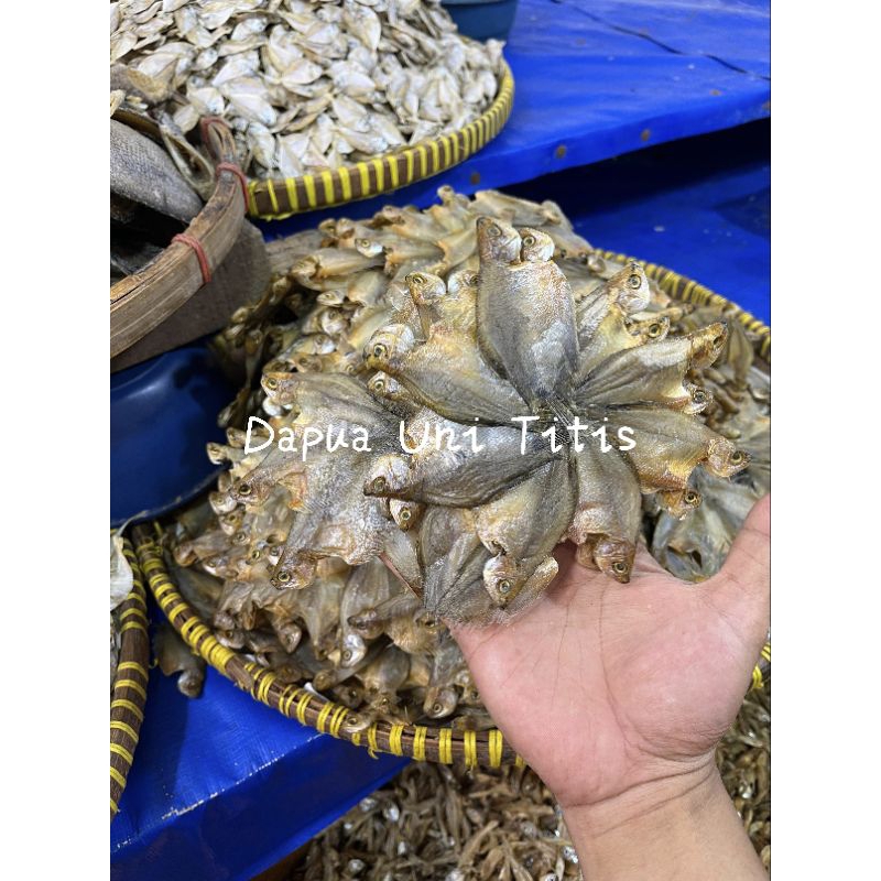 

Ikan Asin / Maco Sepat Bintang Premium berat 250gr