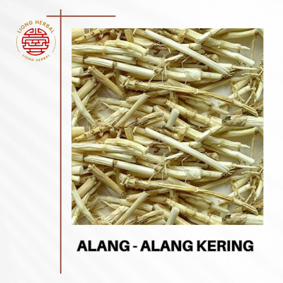 

AKAR ALANG ALANG KERING Premium Imperata Cylindrica MURNI