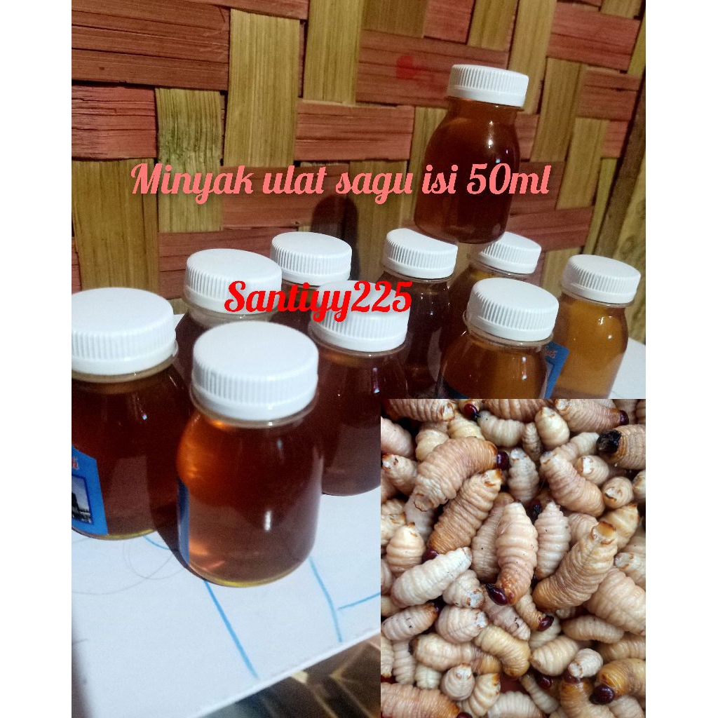 

Minyak Ulat sagu anti botak