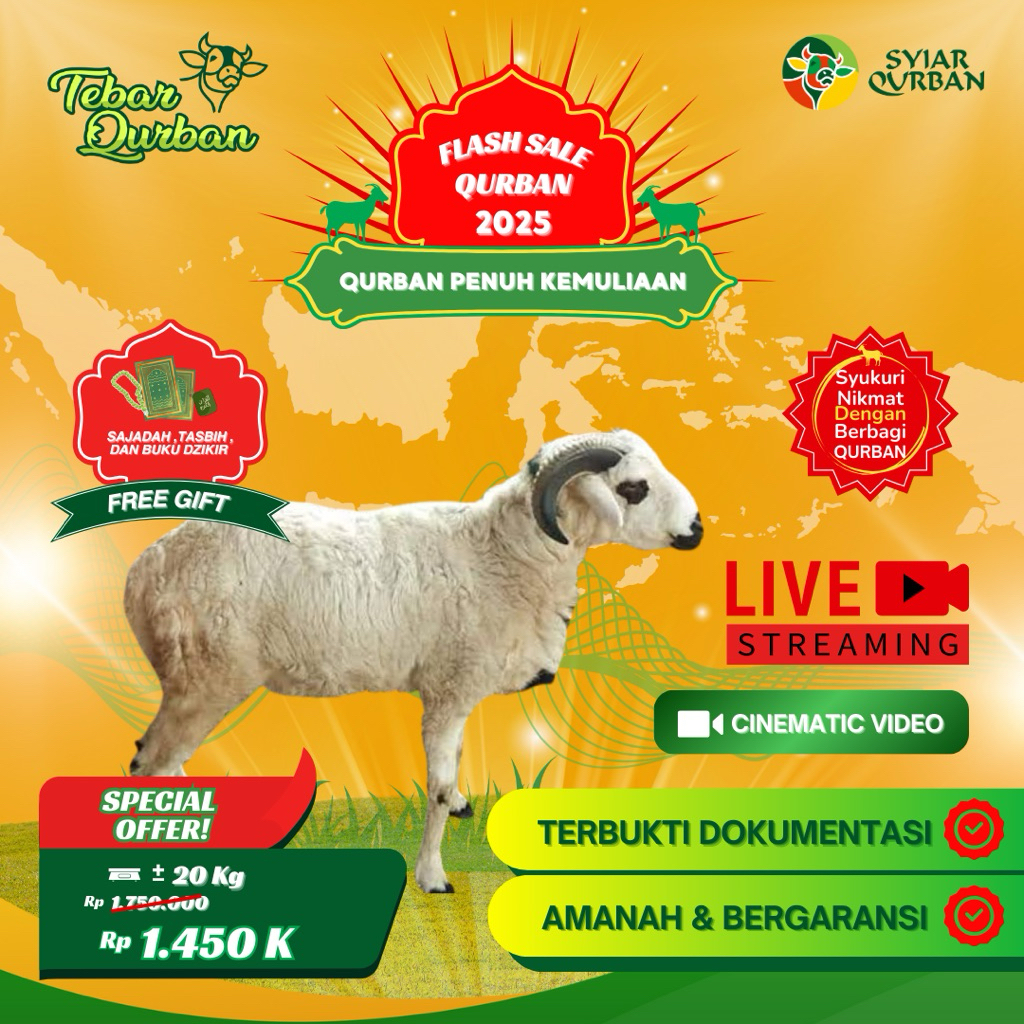 

Domba Kambing Qurban -+20Kg (18-23kg) Full Distribusi