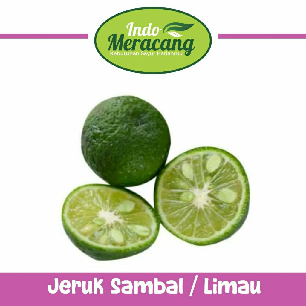 

JERUK SAMBAL JERUK LIMAU INDOMERACANG