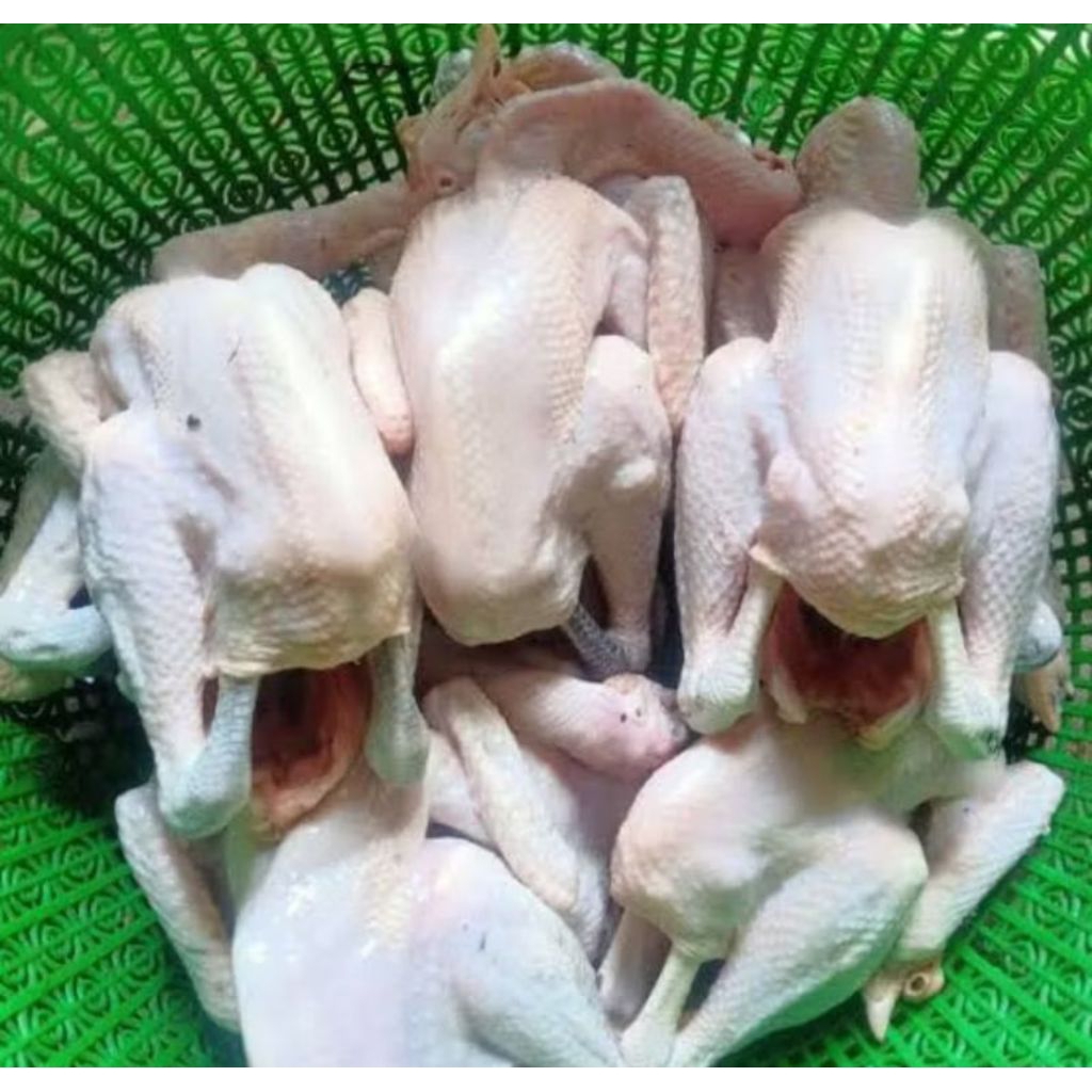 

ayam tege satu ekor (berat -+500gr)