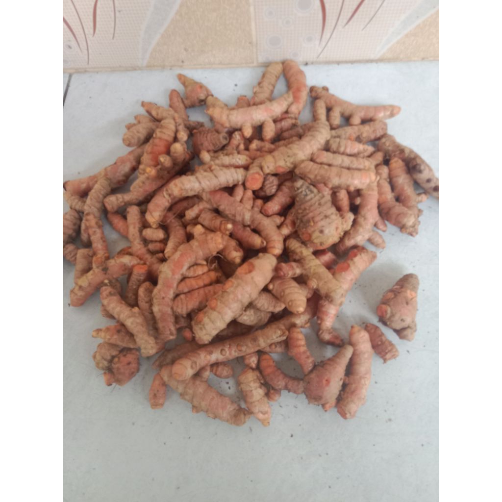 

1000 gram kunyit segar fres