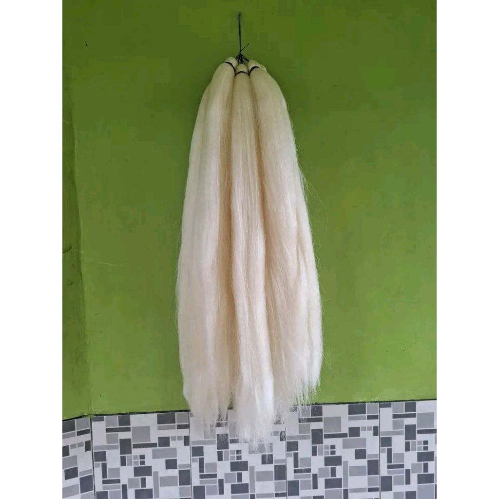 rambut cemara putih tulang