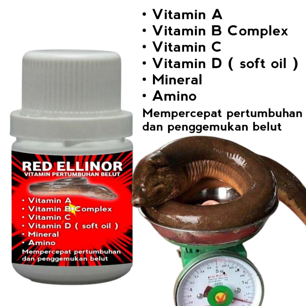 Vitamin bibit belut ternak budidaya 50ml