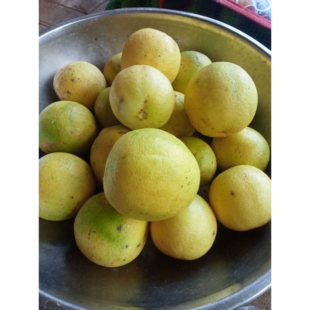

Jeruk Nipis KUNING 1 kg Fresh
