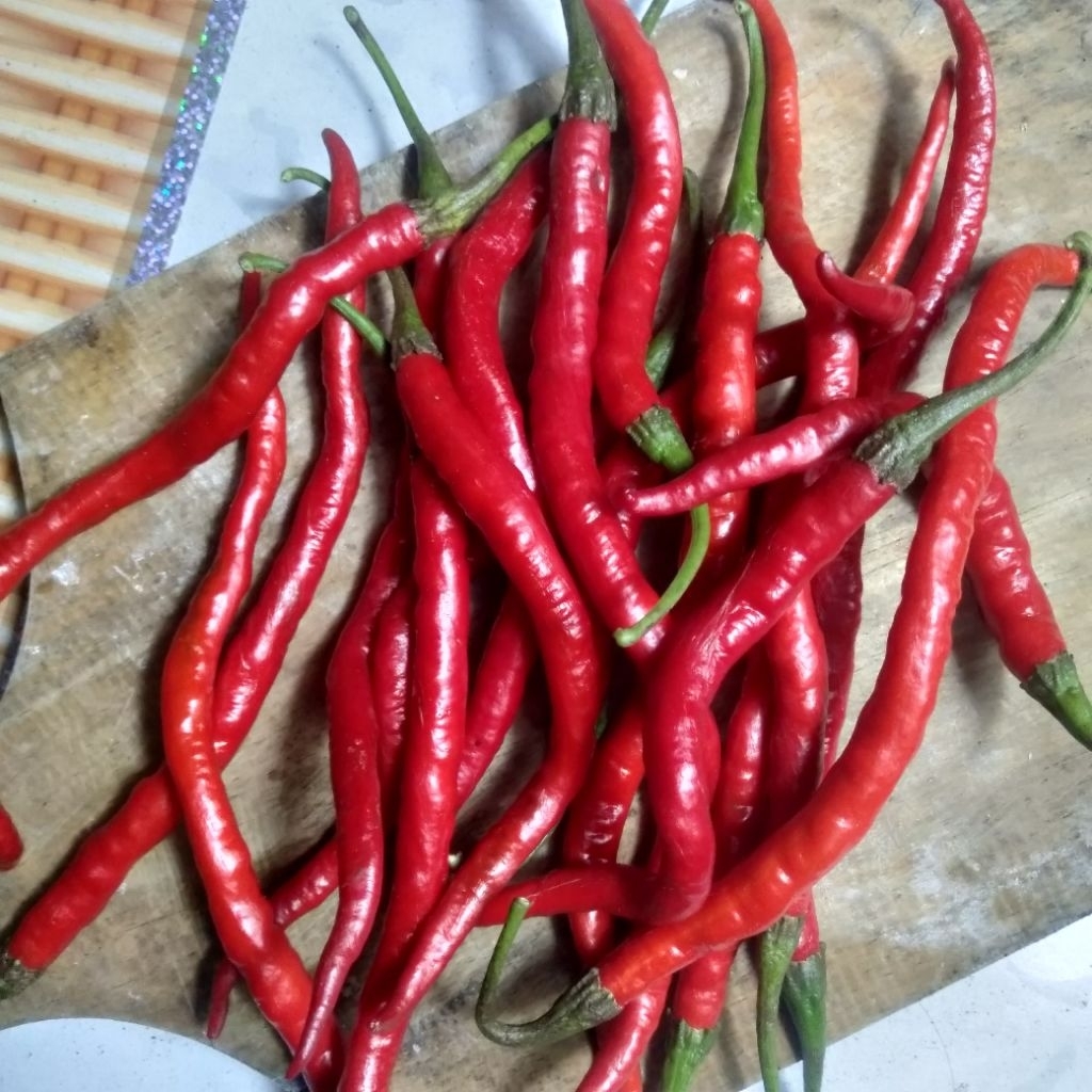 

Cabe / cabai keriting merah segar,premium, asli dari kebun dan berkualitas