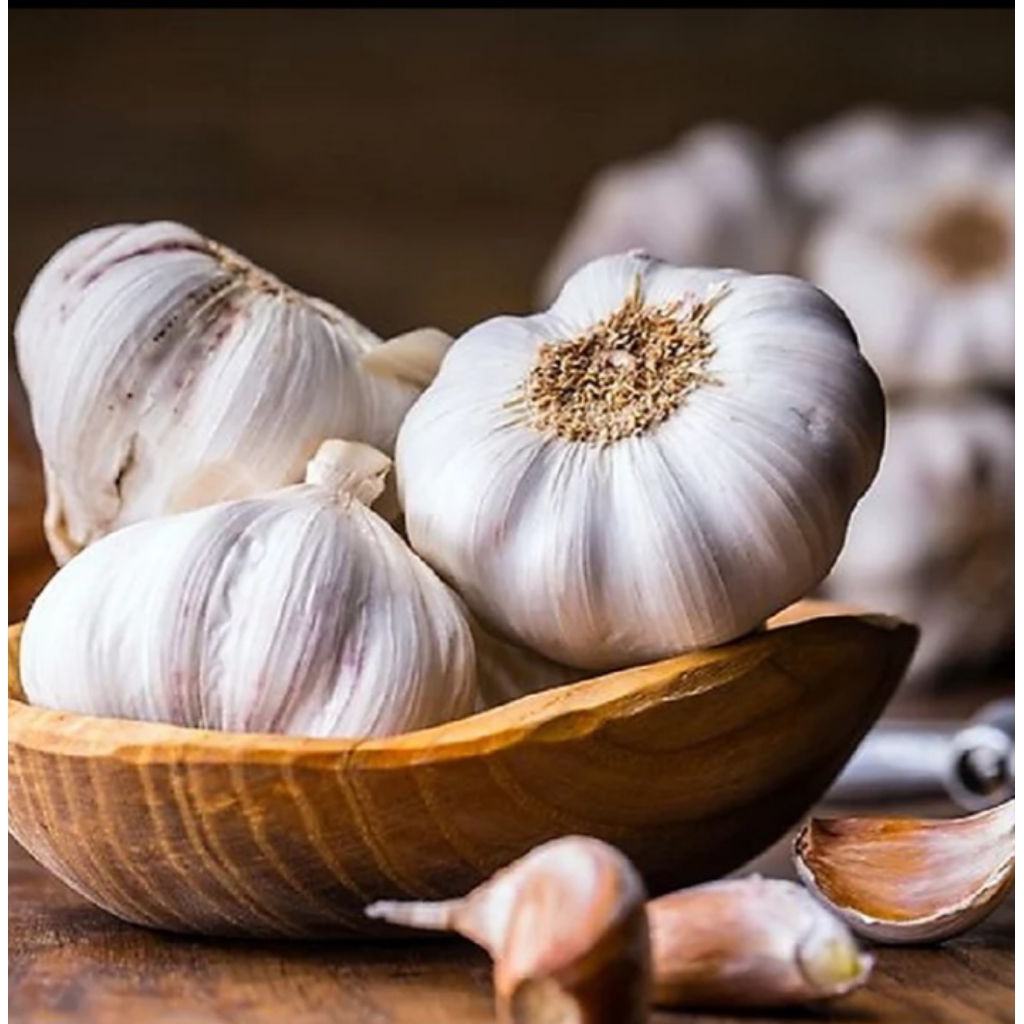 

[PROMO]❤️BAWANG PUTIH FREES 1KG|MURAH MERIAH|BISA JOIN AGEN