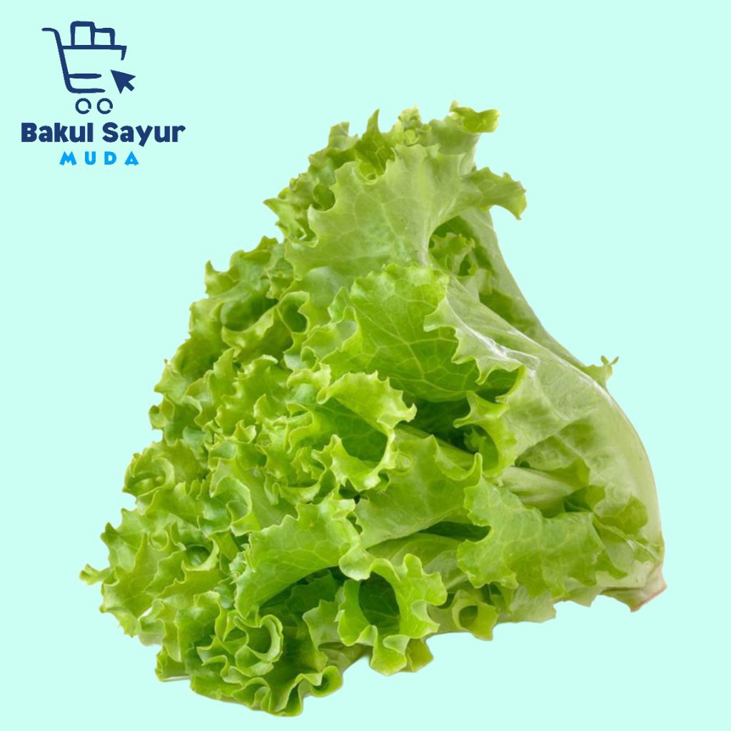 

Sayur Selada Segar ±250 Gram