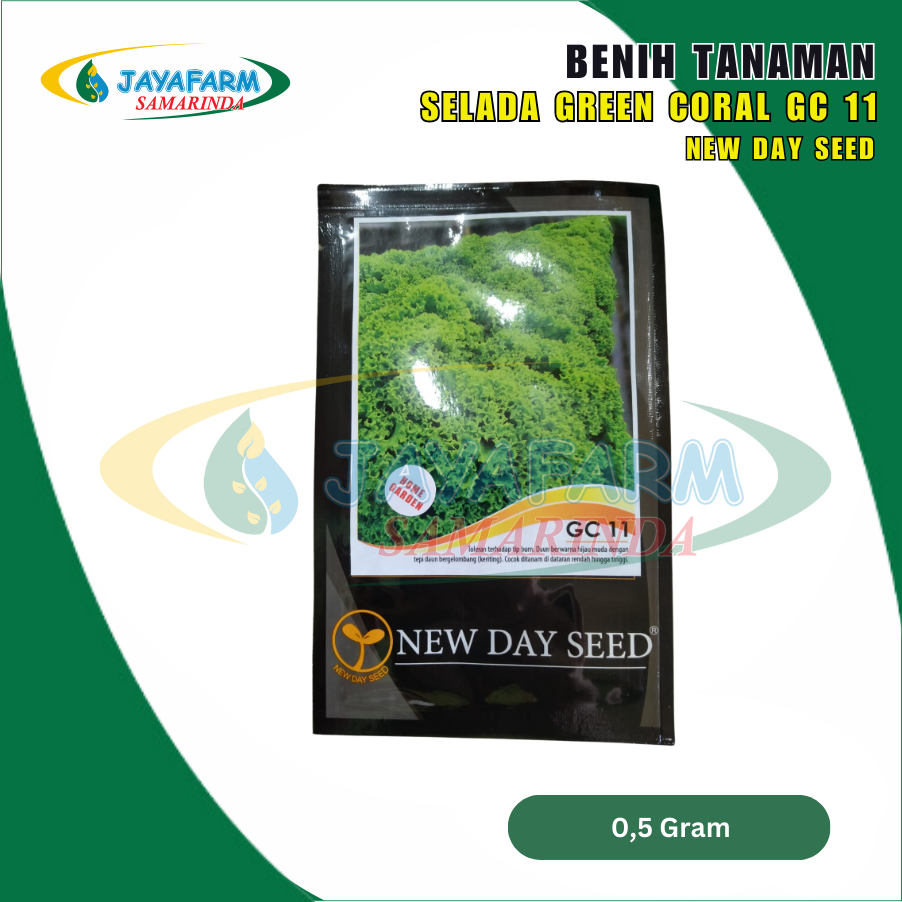 Benih Bibit Tanaman Sayur Selada Green Coral GC 11 0.5 Gram - New Day Seed