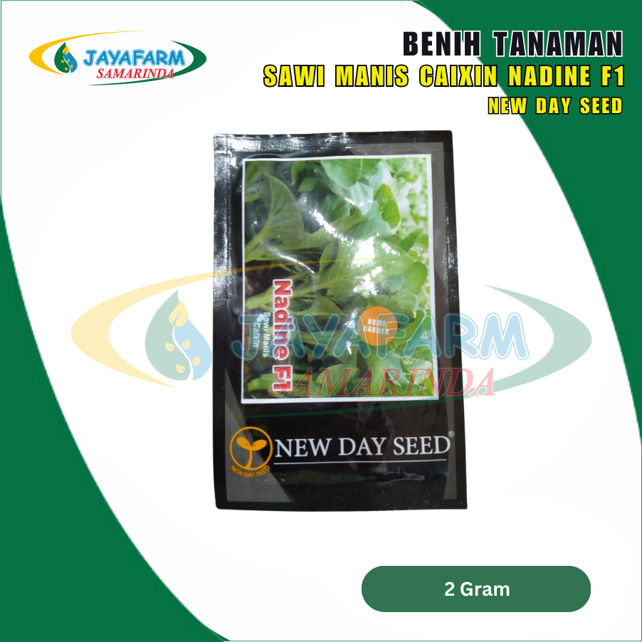Benih Bibit Tanaman Sayur Sawi Manis Caixin Nadine F1 2 Gram - New Day Seed