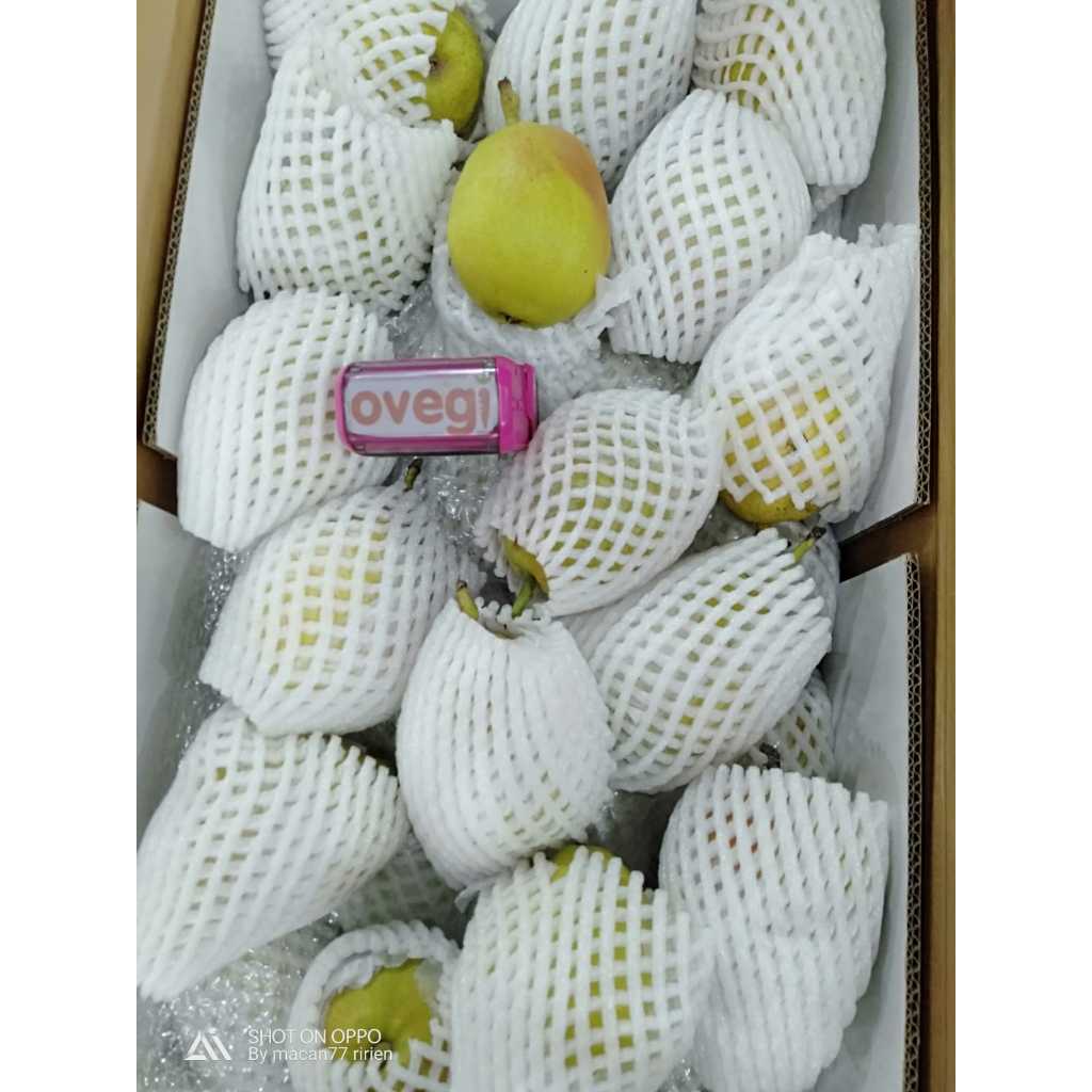 

XIANG LIE PEAR/PEAR XIANGLIE/PEAR XIANG LIE PREMIUM IMPORT/PEAR IMPORT 1 KG