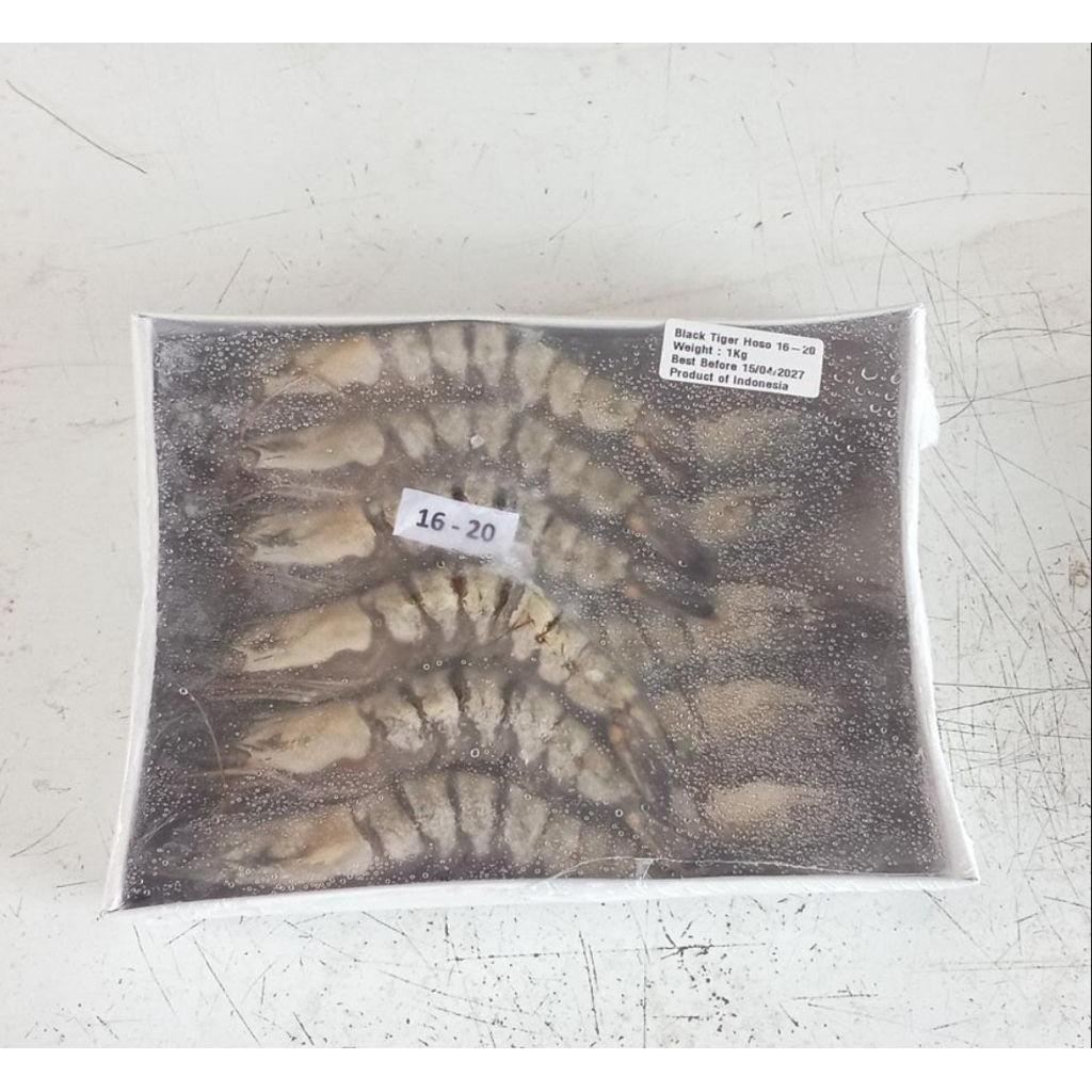 

Udang Tiger Jumbo size 16-20