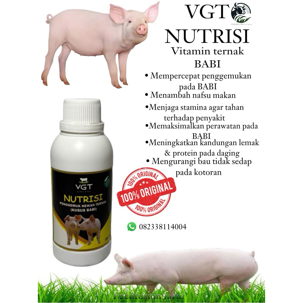 VGT NUTRISI VITAMIN TERNAK BABI