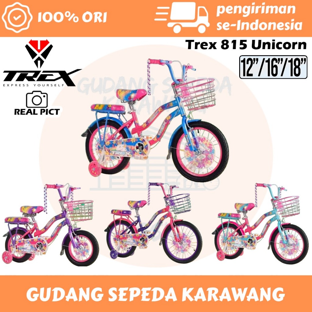 Sepeda Anak Perempuan Mini Trex Unicorn Bahan Steel