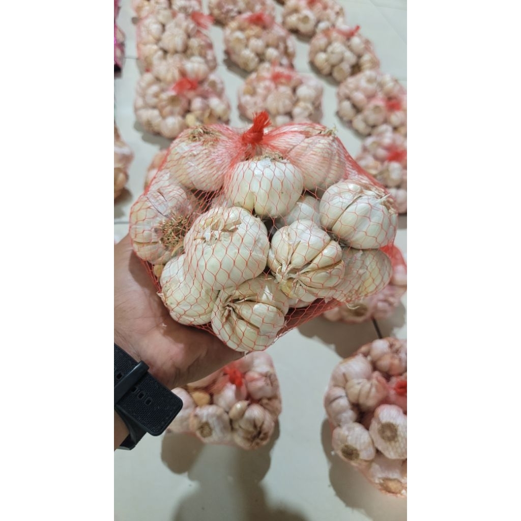 

Bawang putih kemasan 1kg bersih fresh