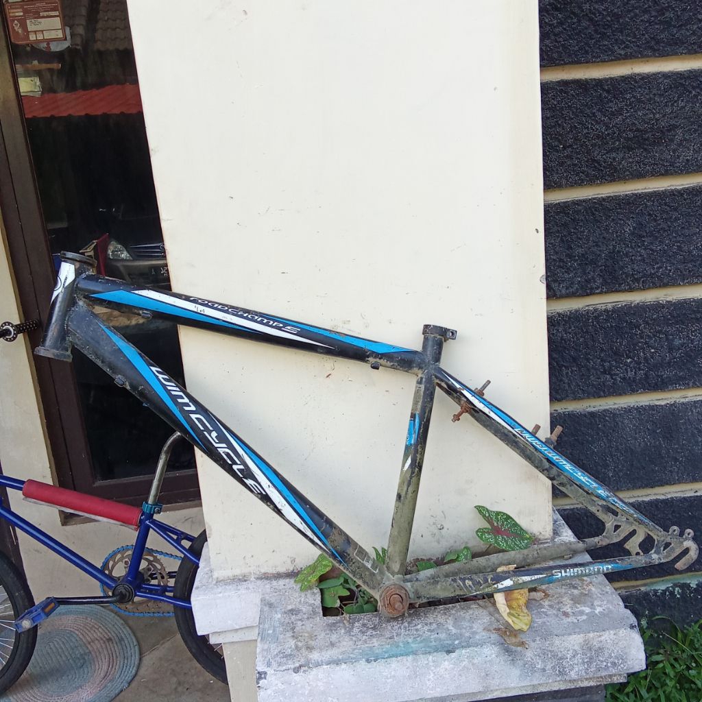 frame MTB Wimcycle roadchamp