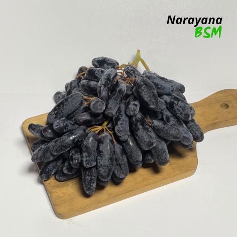 

Buah Anggur Hitam Moondrops Segar 500 Gram