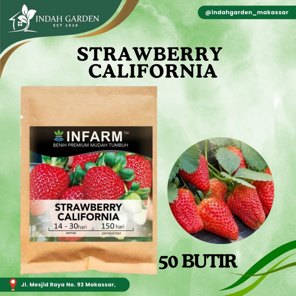 INFARM - Benih Bibit Biji Super Buah Strawberry California Besar Manis Berwarna Merah
