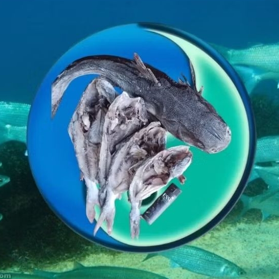 

Promo.888gram.Keting.laut/Kedukang.sejenis(serumpun).dengan.ikan.jambal.roti.dan.ikan.asin.Lain