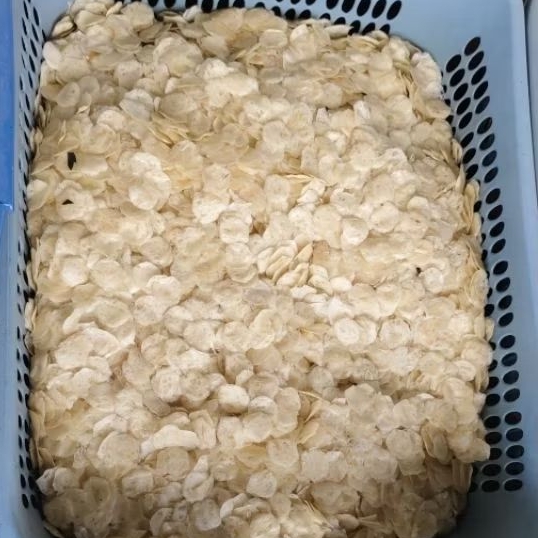 

OPAK KANCING/MINI ENAK DAN GURIH 500GR