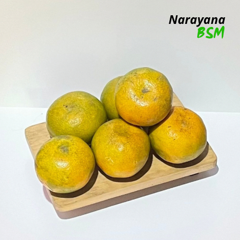 

Buah Jeruk Medan Brastagi Segar 1.000 Gram