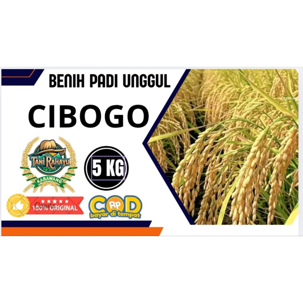 BENIH PADI UNGGUL CIBOGO SUPER ORIGINAL KEMASAN 5KG
