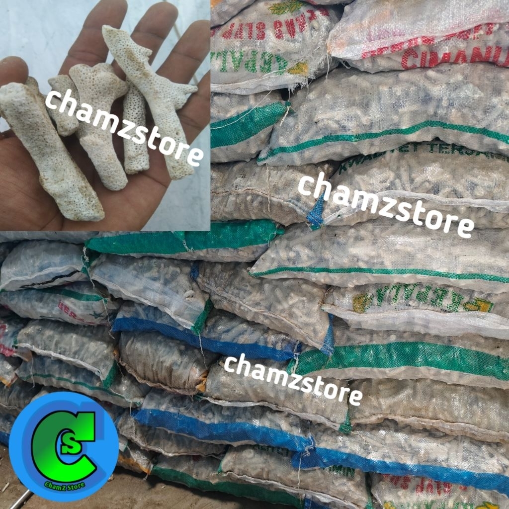 karang jahe karungan 5kg media filter aquarium kolam ikan / karang jahe filter aquarium kolam ikan /