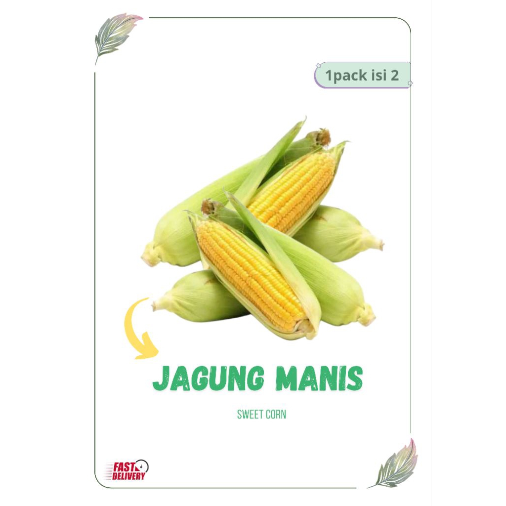 

JAGUNG MANIS