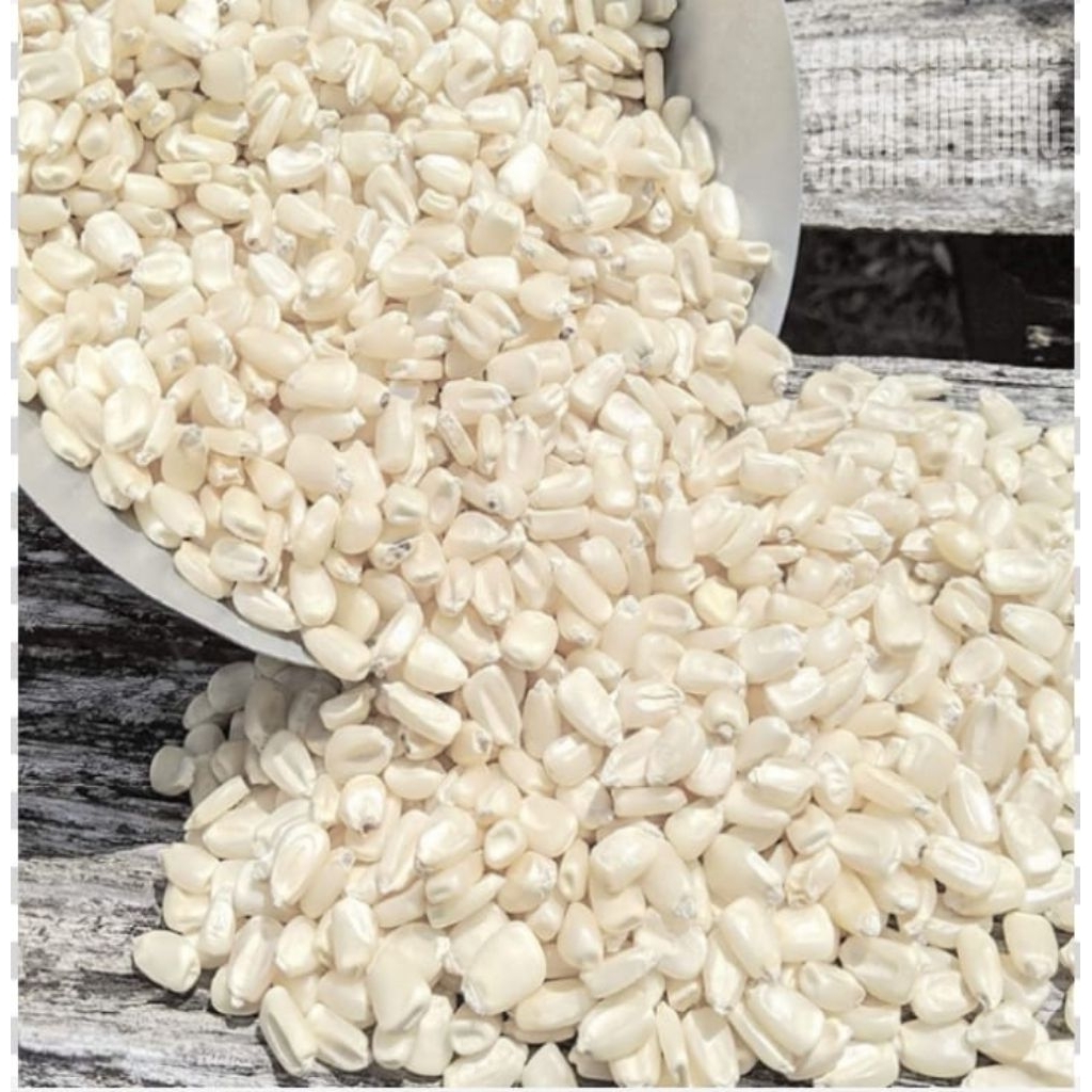 

500 Gram JAGUNG KETAN PUTIH MENTAH,Bahan jagung bassang,bahan bubur bayi,bahan cemilan enak