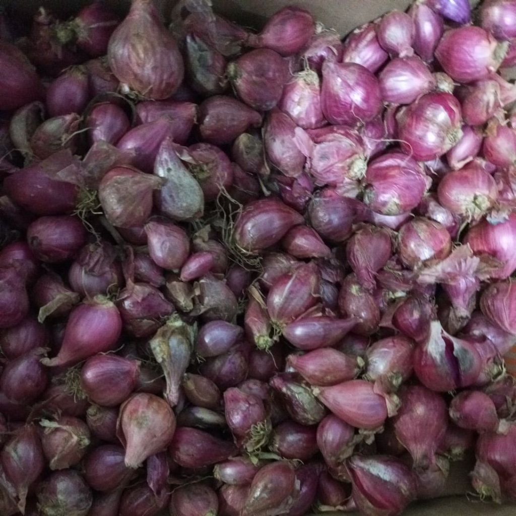 

Bawang merah harga per 500 gram