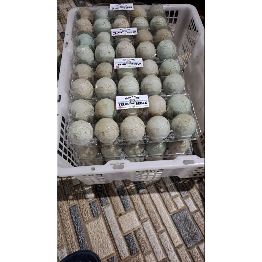 

Telur bebek