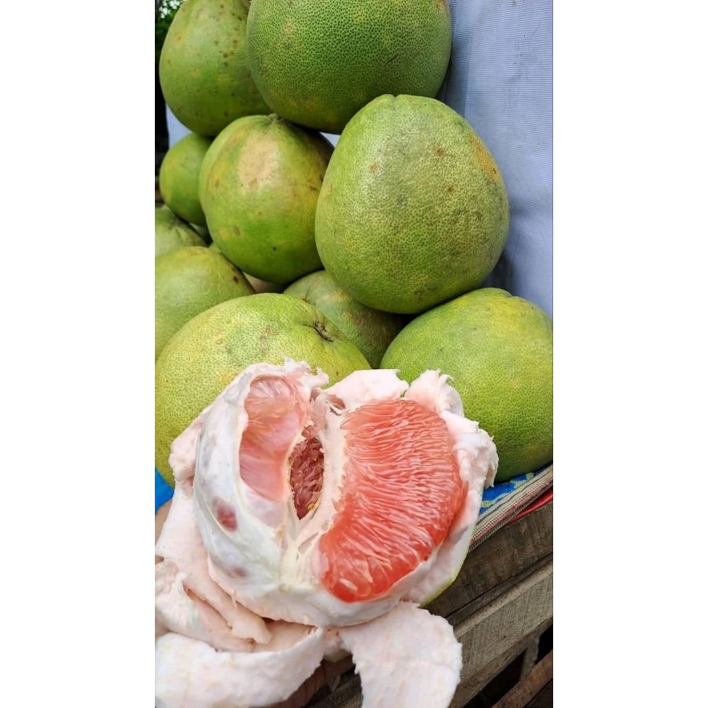 

jeruk Bali manis per 1 butir